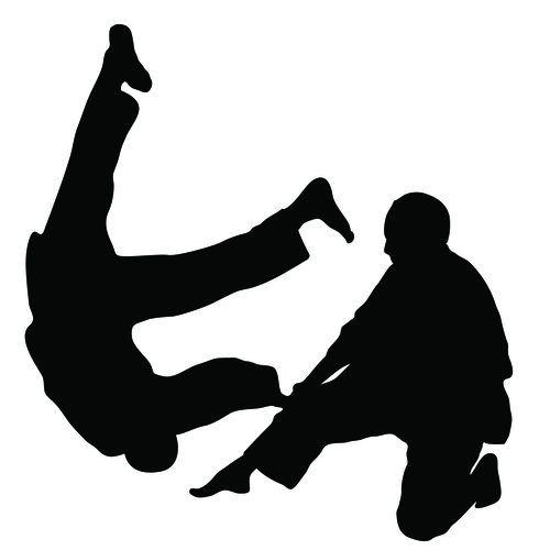 Judo Classes Houston