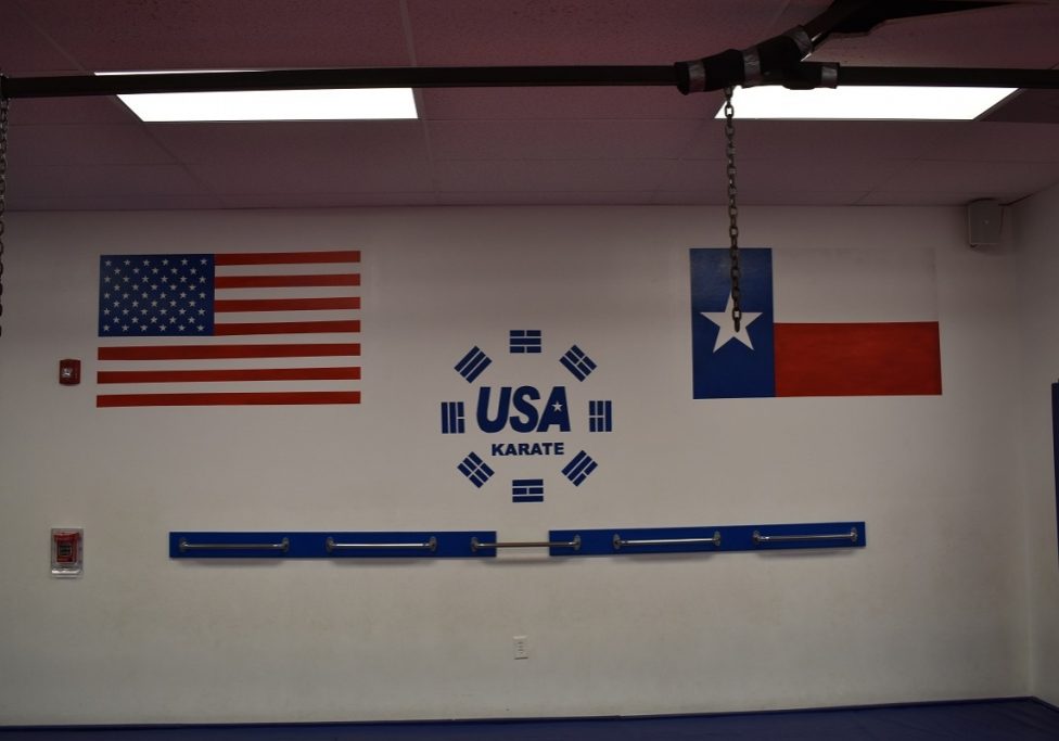 USA Karate Houston flags